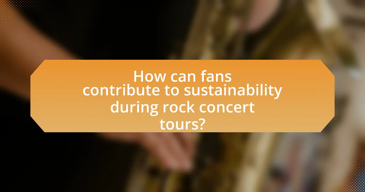 How can fans contribute to sustainability during rock concert tours?