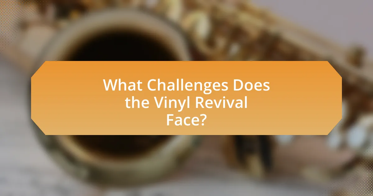 What Challenges Does the Vinyl Revival Face?